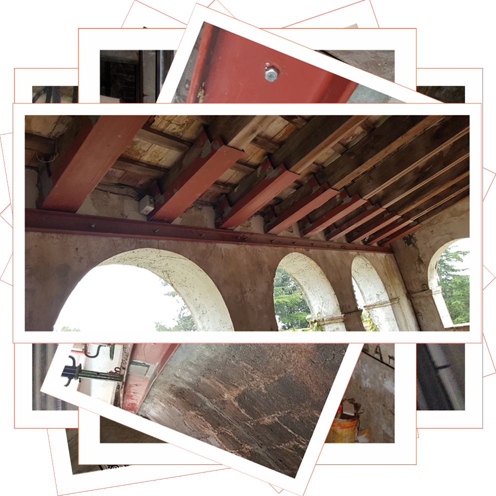 10.Colage-Can-Buti-cub