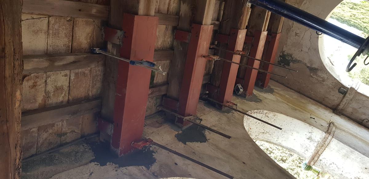 10a.Can-Buti-cub.ext 