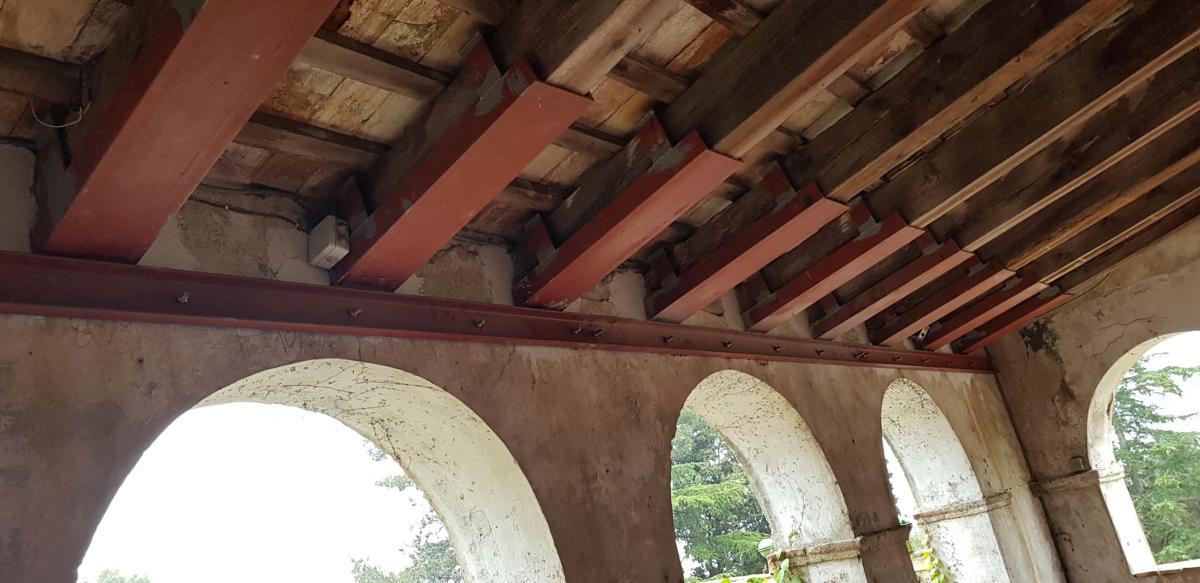 10b.Can-Buti-cub.ext 