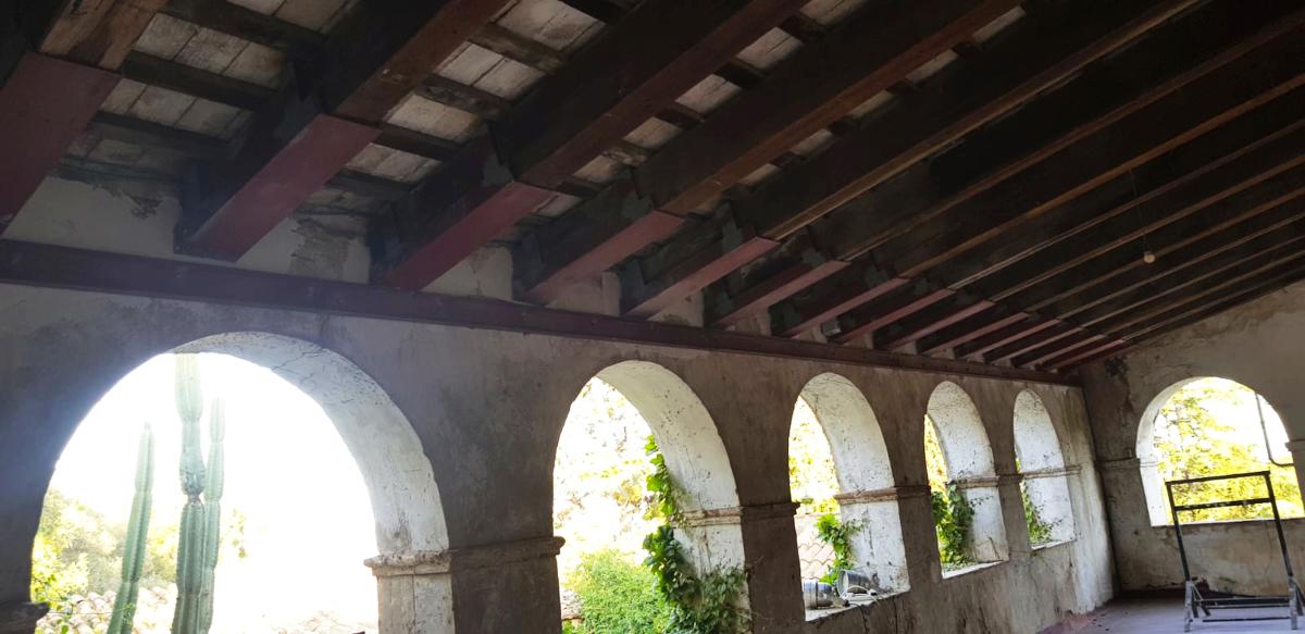 10d.Can-Buti-cub.ext 