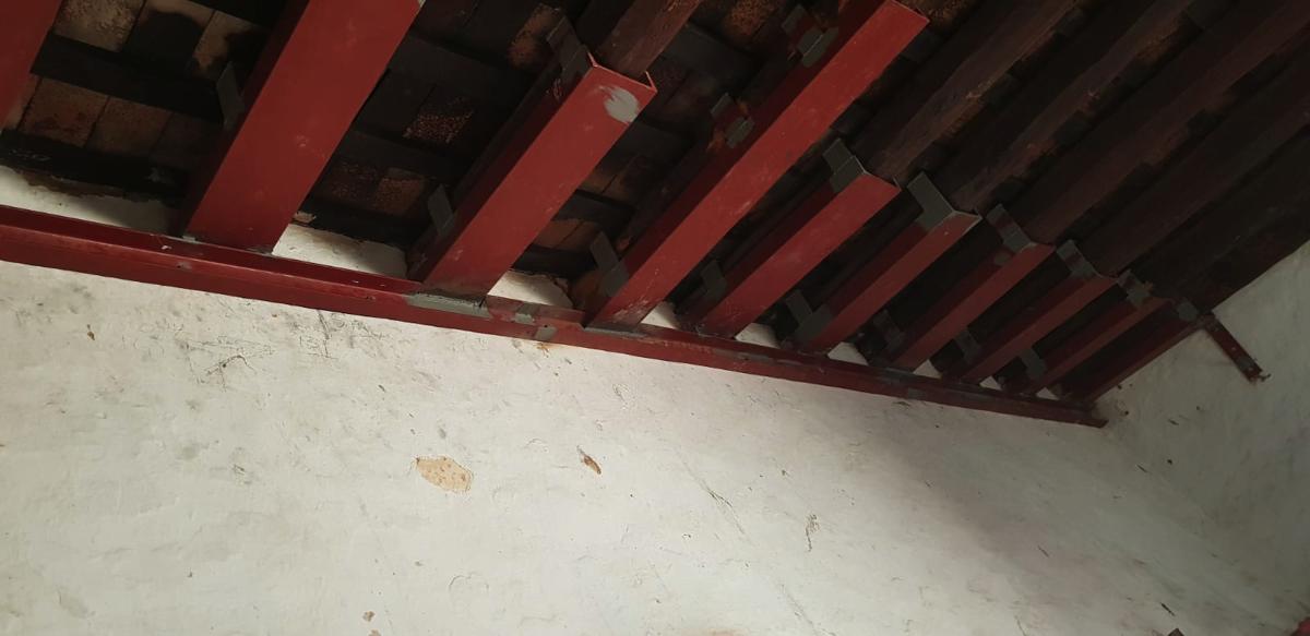 10g.Can-Buti-cub.int 