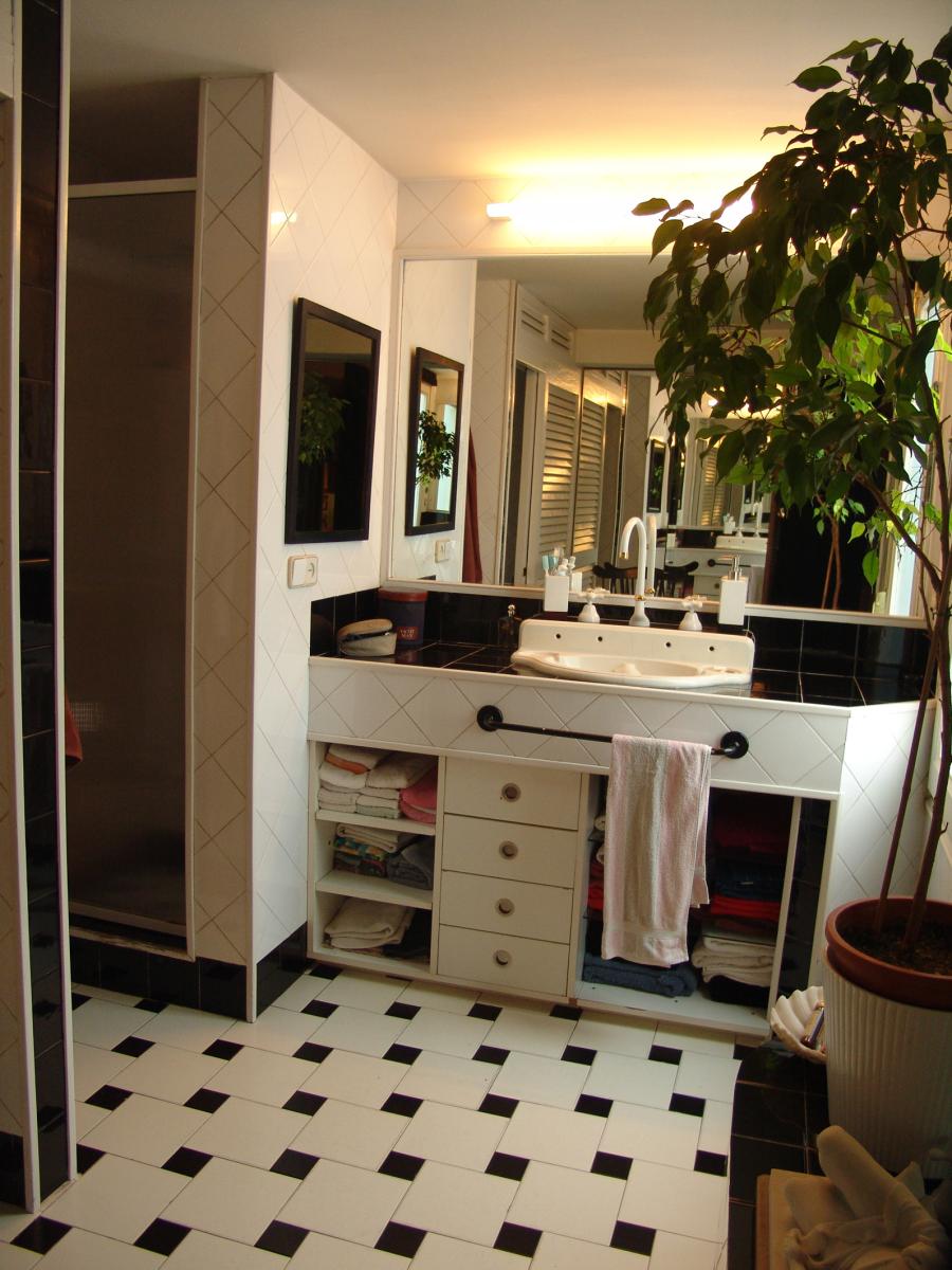 1ic.Bano-lavabo-desde-hab